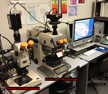 Olympus VANOX AH3 Microscope Olympus VANOX AH3 Microscope